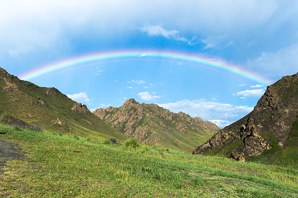 Western Mongolia, Eagle Hunting Family and Gobi Desert